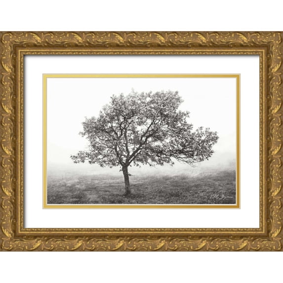 Geyman, Vitaly 18x13 Gold Ornate Wood Framed with Double Matting Museum Art Print Titled - Burning Oak I BandW
