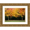 thumbnail image 1 of Geyman, Vitaly 18x13 Gold Ornate Wood Framed with Double Matting Museum Art Print Titled - Fall Abundance V, 1 of 4