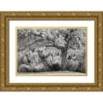 thumbnail image 1 of Geyman, Vitaly 18x13 Gold Ornate Wood Framed with Double Matting Museum Art Print Titled - Ocean of Colors BandW, 1 of 4