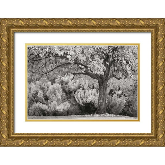 Geyman, Vitaly 18x13 Gold Ornate Wood Framed with Double Matting Museum Art Print Titled - Ocean of Colors BandW