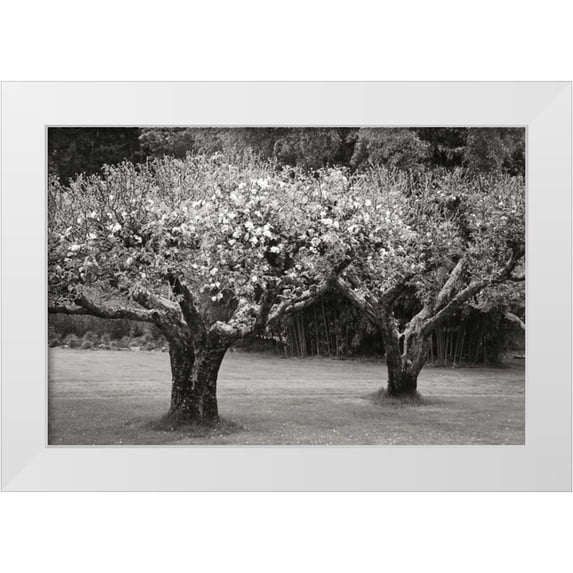 Geyman, Vitaly 18x13 White Modern Wood Framed Museum Art Print Titled - Orchard Serenity I