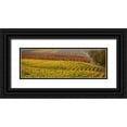 thumbnail image 1 of Geyman, Vitaly 18x9 Black Ornate Wood Framed with Double Matting Museum Art Print Titled - Vineyard, 1 of 4
