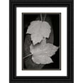 thumbnail image 1 of Geyman, Vitaly 23x32 Black Ornate Wood Framed with Double Matting Museum Art Print Titled - Water Leaf I BandW, 1 of 4