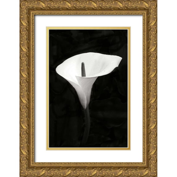 Geyman, Vitaly 23x32 Gold Ornate Wood Framed with Double Matting Museum Art Print Titled - Calla Lily Perfection III
