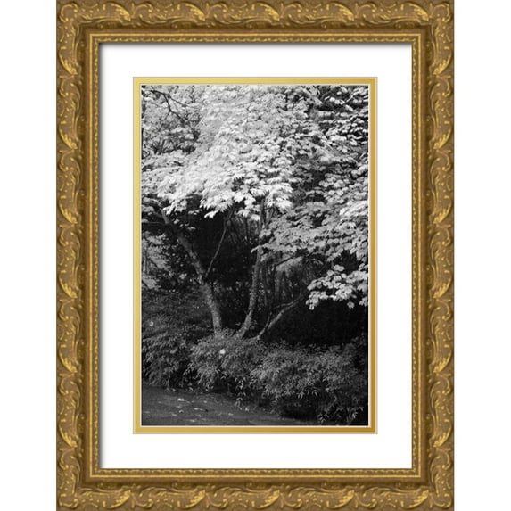 Geyman, Vitaly 23x32 Gold Ornate Wood Framed with Double Matting Museum Art Print Titled - Fall Abundance IV B and W
