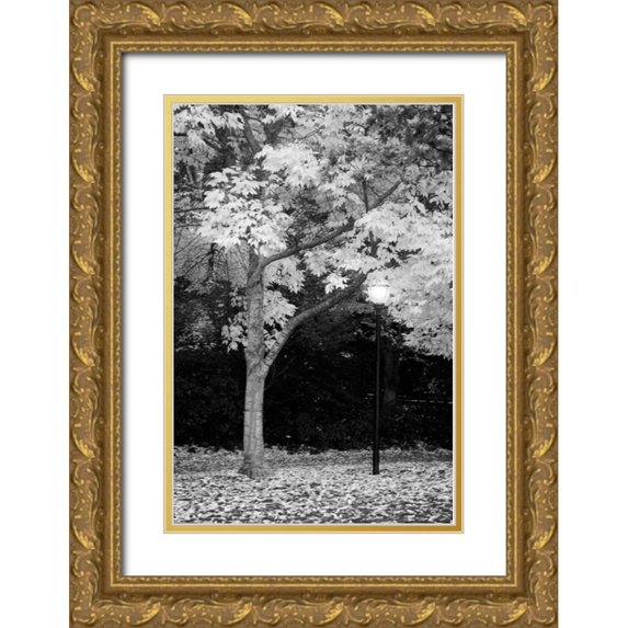 Geyman, Vitaly 23x32 Gold Ornate Wood Framed with Double Matting Museum Art Print Titled - Fall Abundance X B and W