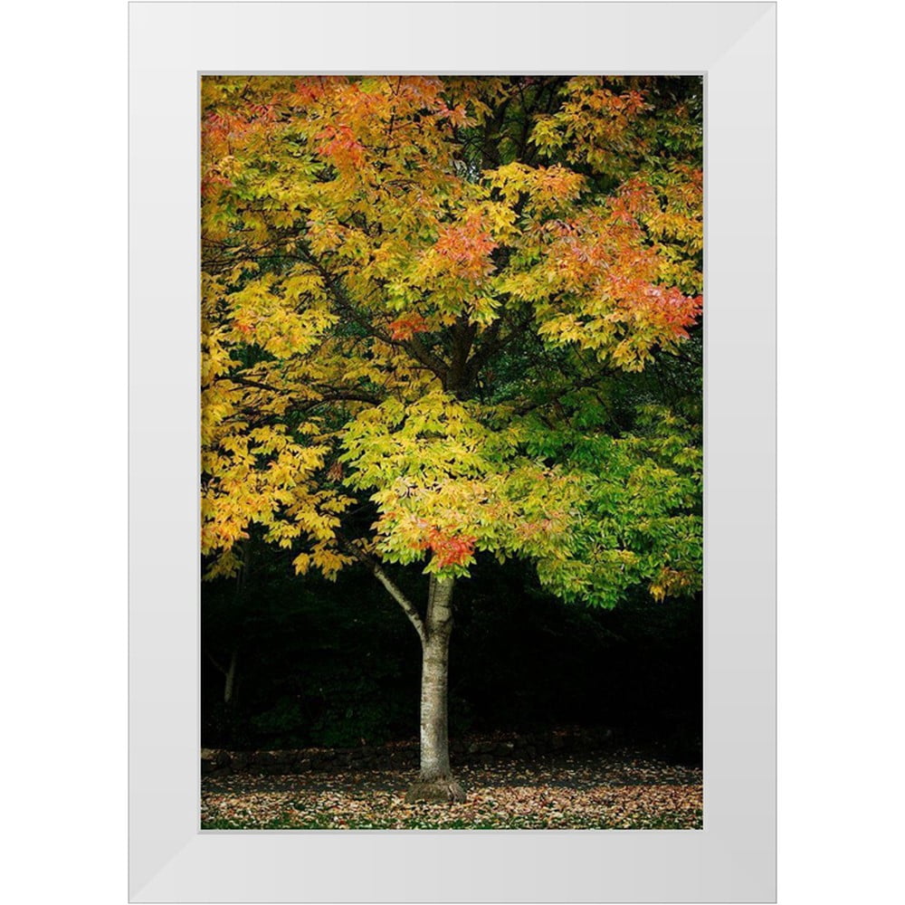 Geyman, Vitaly 23x32 White Modern Wood Framed Museum Art Print Titled ...