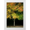 thumbnail image 1 of Geyman, Vitaly 23x32 White Modern Wood Framed Museum Art Print Titled - Tree of Life II, 1 of 4