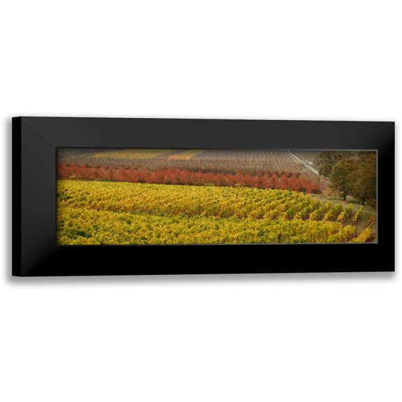 Geyman, Vitaly 24x11 Black Modern Framed Museum Art Print Titled - Vineyard