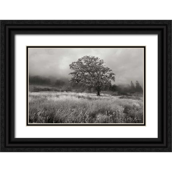 Geyman, Vitaly 24x17 Black Ornate Wood Framed with Double Matting Museum Art Print Titled - Field of Gold BandW