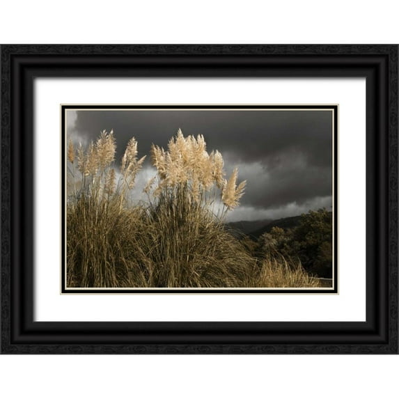 Geyman, Vitaly 24x17 Black Ornate Wood Framed with Double Matting Museum Art Print Titled - White Towers in the Storm I