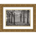 thumbnail image 1 of Geyman, Vitaly 24x17 Gold Ornate Wood Framed with Double Matting Museum Art Print Titled - Colors in the Mist VII BandW, 1 of 4