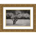 thumbnail image 1 of Geyman, Vitaly 24x17 Gold Ornate Wood Framed with Double Matting Museum Art Print Titled - Orchard Serenity II, 1 of 4