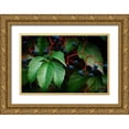 thumbnail image 1 of Geyman, Vitaly 24x17 Gold Ornate Wood Framed with Double Matting Museum Art Print Titled - Vinyard Mozaic, 1 of 4