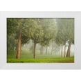 thumbnail image 1 of Geyman, Vitaly 24x17 White Modern Wood Framed Museum Art Print Titled - Mystic Woods I, 1 of 4