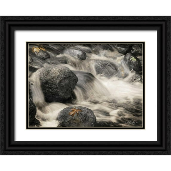 Geyman, Vitaly 24x19 Black Ornate Wood Framed with Double Matting Museum Art Print Titled - Silver Falls I