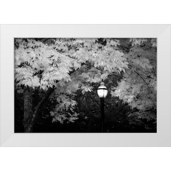 Geyman, Vitaly 32x23 White Modern Wood Framed Museum Art Print Titled - Fall Abundance VII B and W