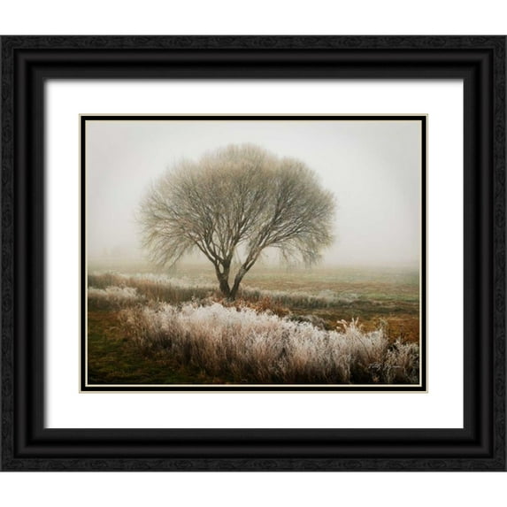 Geyman, Vitaly 32x26 Black Ornate Wood Framed with Double Matting Museum Art Print Titled - Tranquility I
