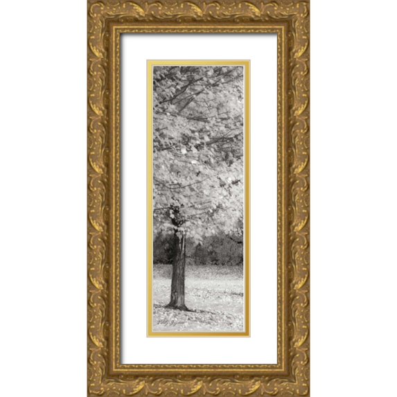 Geyman, Vitaly 9x18 Gold Ornate Wood Framed with Double Matting Museum Art Print Titled - Spash of Color IV BandW