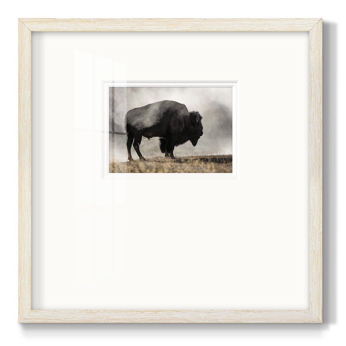 Geyser BasinPremium Framed Print