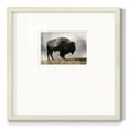 thumbnail image 1 of Geyser BasinPremium Framed Print, 1 of 1