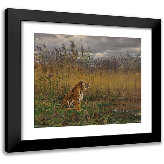 Geza Vastagh 16x15 Black Modern Framed Museum Art Print Titled - A Tiger in a Landscape