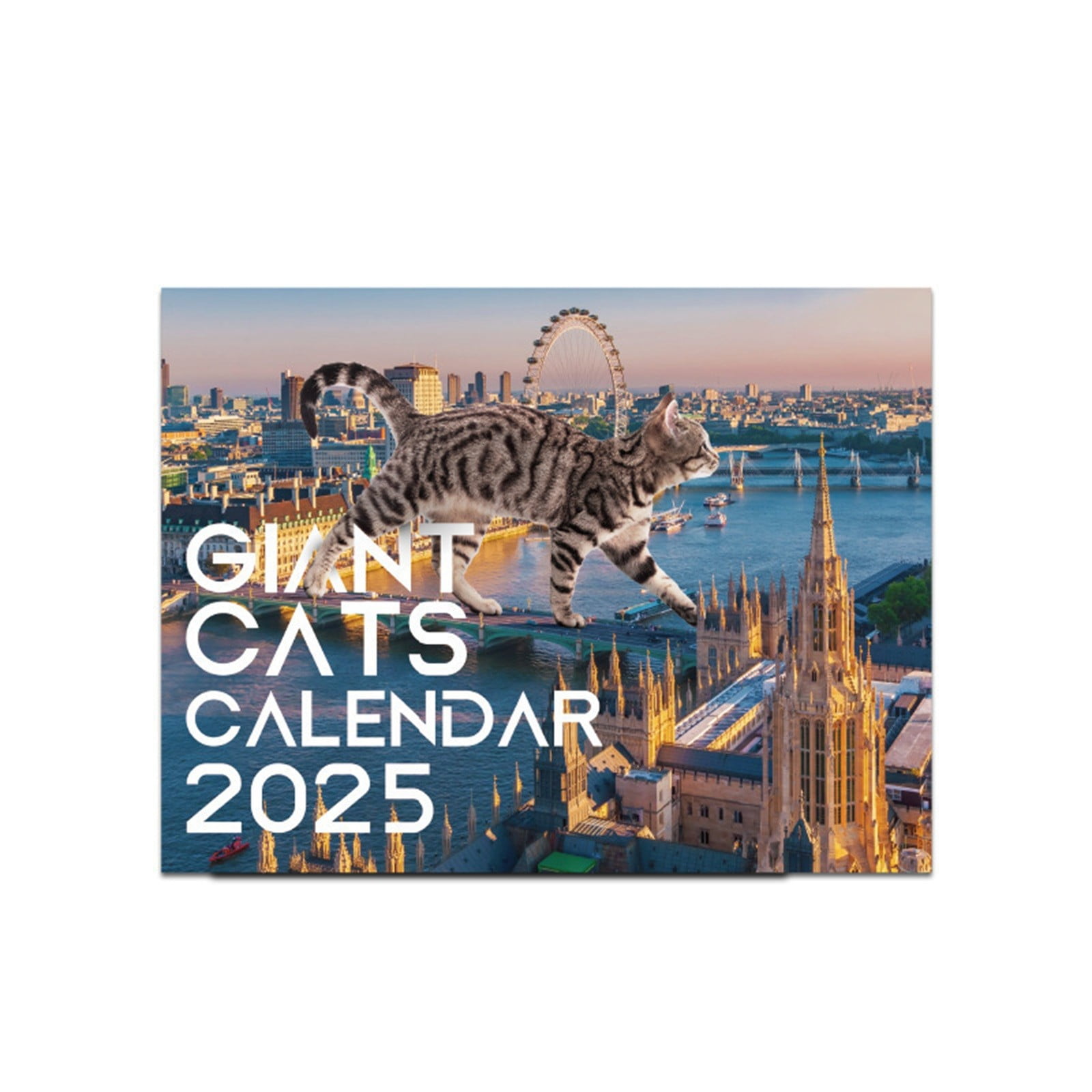 Gfregrj Calendar 2025 City Cat Calendar 12 Month Calendar Riding Nail