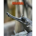 Gharial Amazing Facts about Gharial (Paperback)