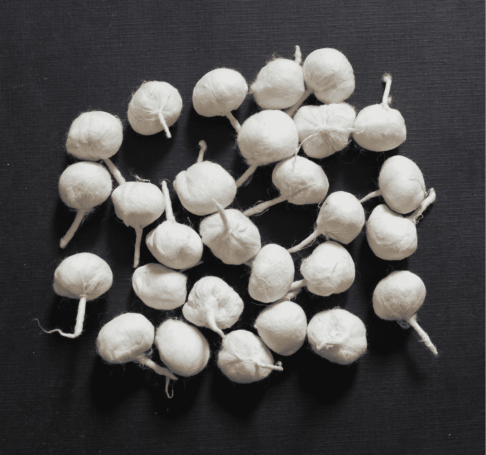 Ghee Wicks for Puja Pooja Diya - Diya Ghee Wicks, Diya Batti, 100 Pc. 30 min Burning time - Pure Ghee Wicks for Clay Diya, Oil Lamp, Diwali Diya, Brass Kuber Diya - Ready-to-use Diya Batti Hashcart®