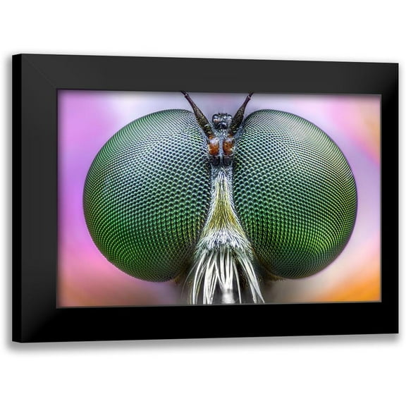Ghizzi Panizza, Alberto 14x11 Black Modern Framed Museum Art Print Titled - Amazing Eyes