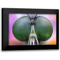 Ghizzi Panizza, Alberto 14x11 Black Modern Framed Museum Art Print Titled - Amazing Eyes