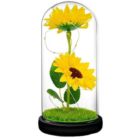Ghopy Artificial Sunflower Lamp in Glass Dome with Led Light Strip Enchanted Sunflower Lamp Home Decoration Romantic Gifts for Valentines Day Mothers Day Birthday Anniversary Christmas Thanksgiving