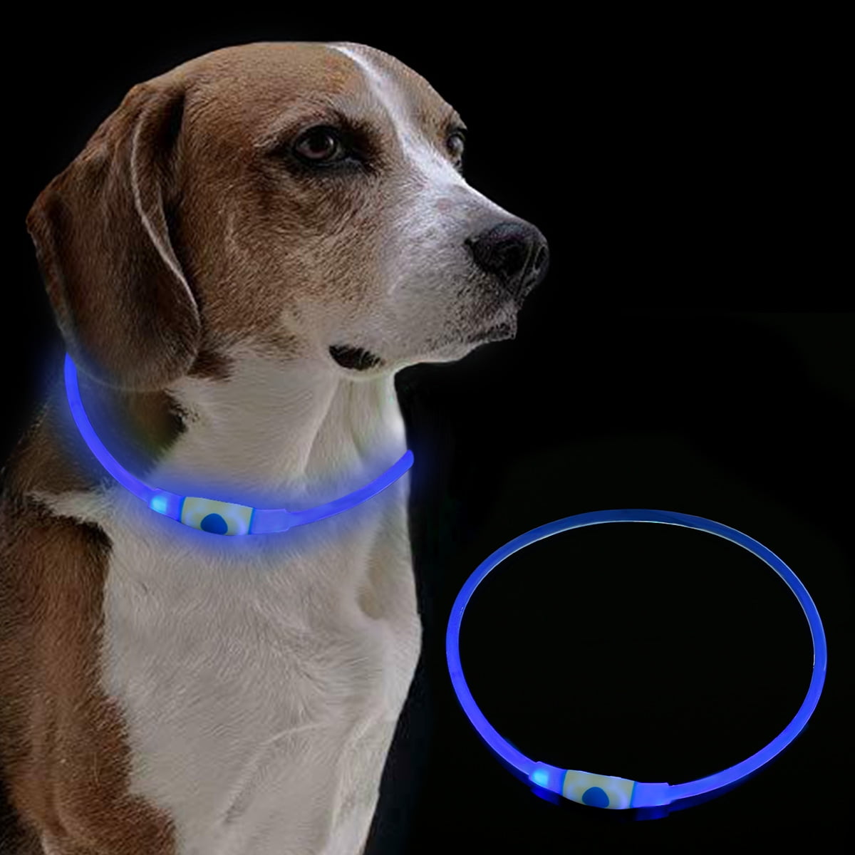 Light up cheap pet collar