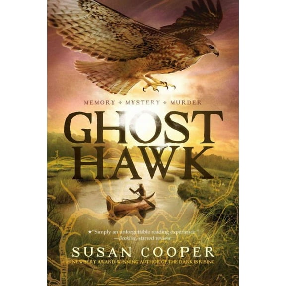 Ghost Hawk (Paperback)