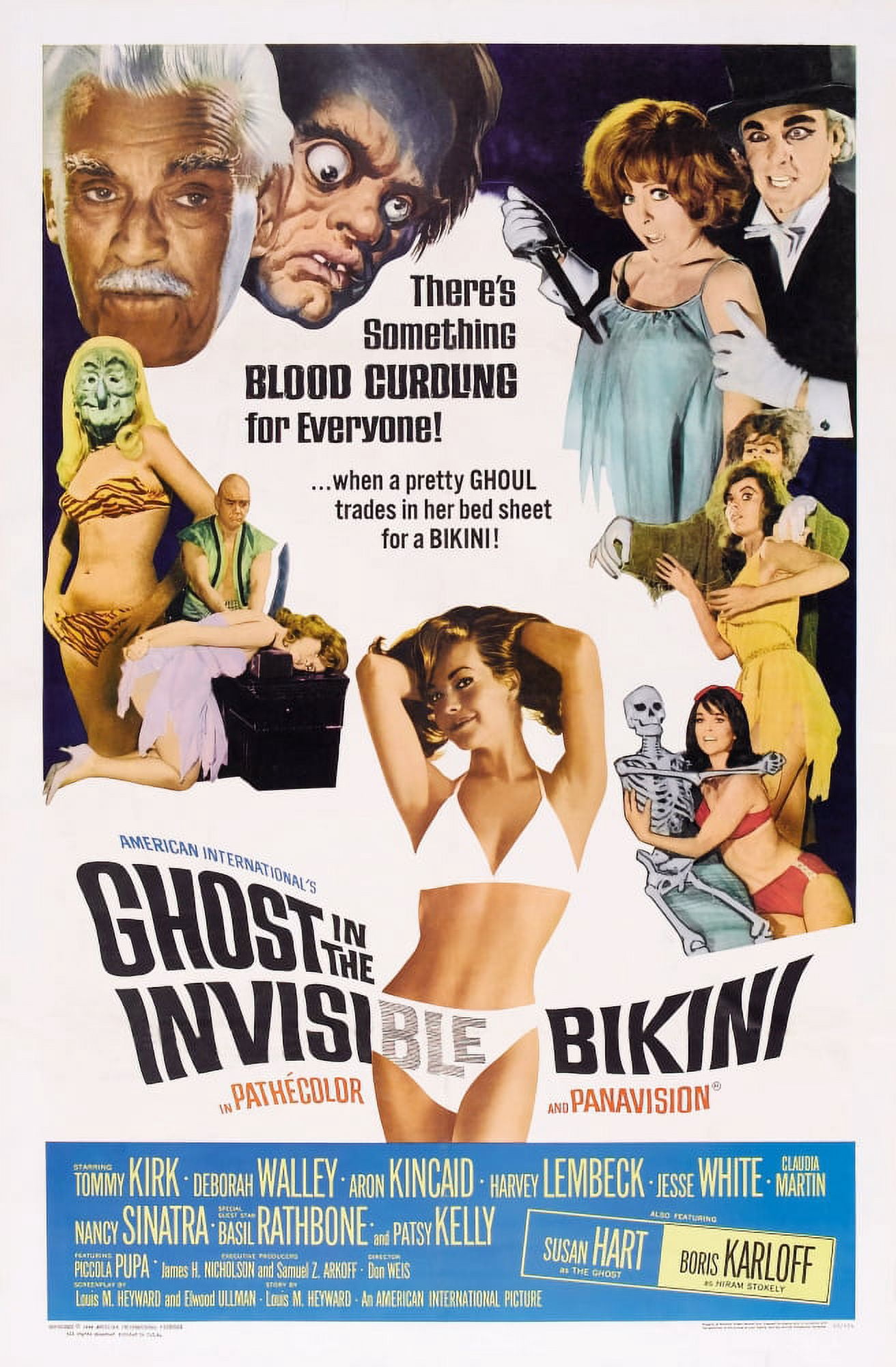 Ghost In The Invisible Bikini Canvas Art - (11 x 17)