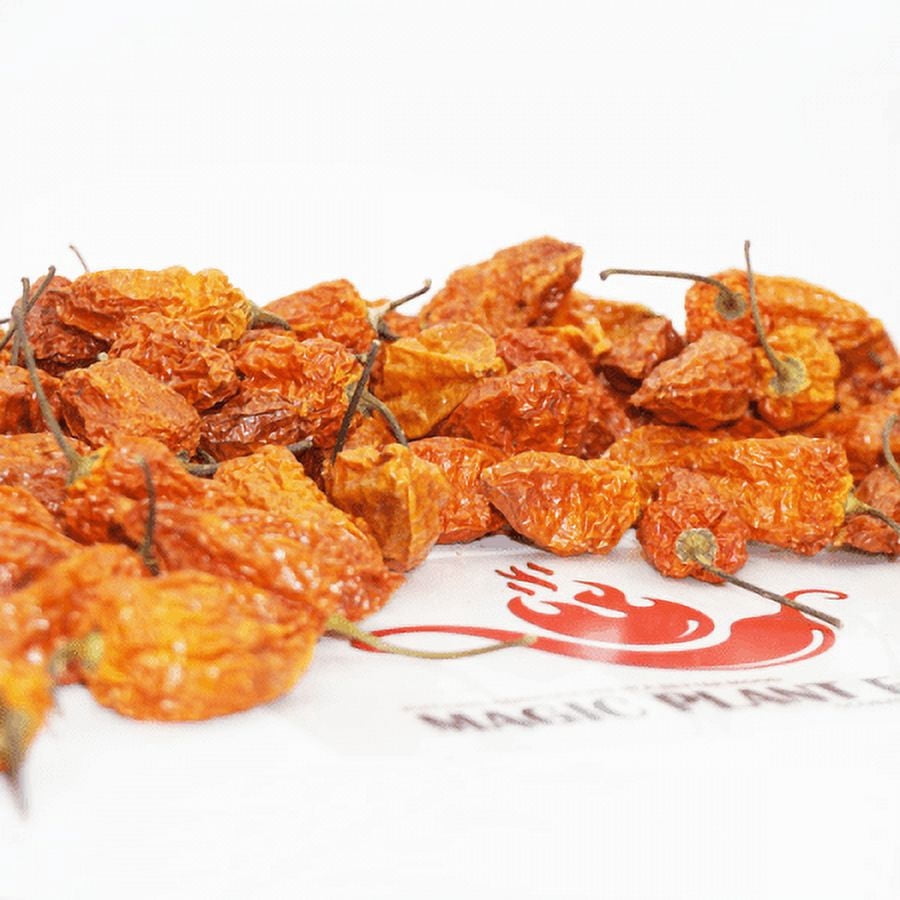 Ghost Pepper / Bhut Jolokia Whole Pods 1kg /2.2lb | Ghost Chili