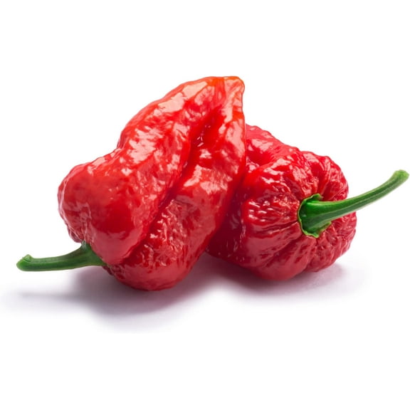 Ghost Pepper Seeds - 30+ "Bhut Jolokia" Pepper Seeds for Planting