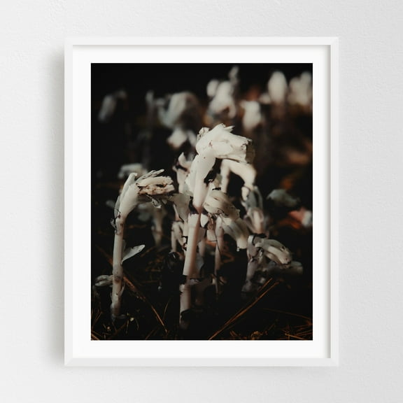 Ghost Pipes 01 - Marlborough Massachusetts Photography White Framed Wall Art Print 16 x 20 inches