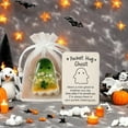 thumbnail image 1 of Ghost Pocket Cards, Emotional Support Ghosts, Halloween Pocket Hug Ghost with Encouragement Card, Pocket Comfort Ghosts: A Hug in Your Pocket, Halloween Spooky Gifts (Style_B), 1 of 7