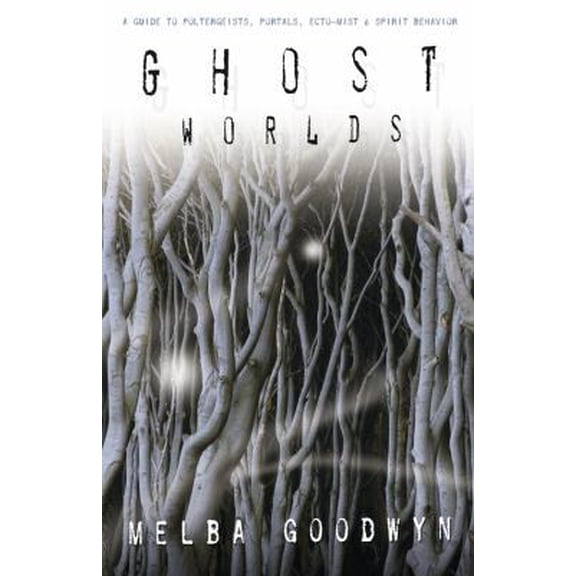 Pre-Owned Ghost Worlds: A Guide to Poltergeists, Portals, Ecto-Mist, & Spirit Behavior (Paperback) 0738711950 9780738711959