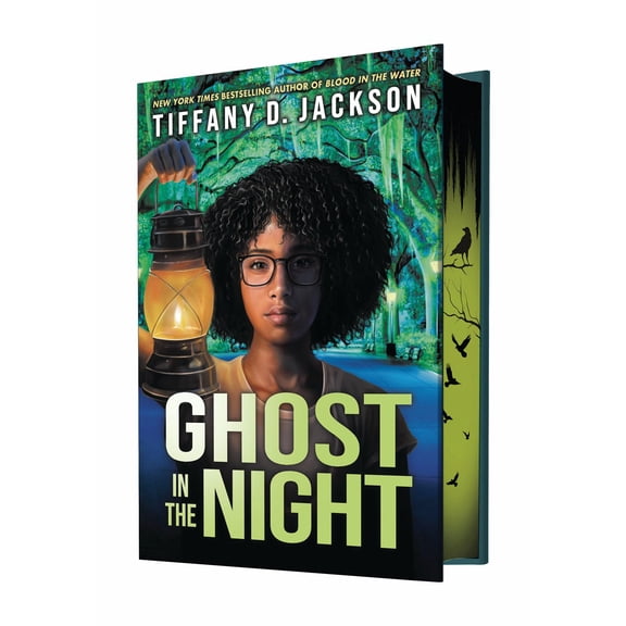 Ghost in the Night (Hardcover)