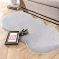 thumbnail image 1 of Ghouse 2x4 Ultra Soft Faux Fur Grey Rug, Area Rugs for Bedroom Floor Sofa Living Room, Carpet Accent Rug, 1 of 6