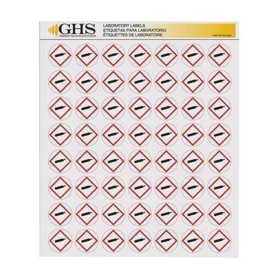 Ghs Safety GHS Label, 1 in H, 1 in W, Paper, PK1120 GHS1209