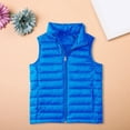 thumbnail image 1 of GiLiling Boys Girls Puffer Vest Kids Sleeveless Lightweight Puffy Down Jacket Winter Warm Zipper Quilted Vest Outdoor Outerwear ﻿ (Sky Blue, 13-14 Years), 1 of 7