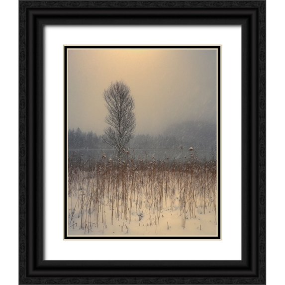 Gialopoulos, Anastasios 26x32 Black Ornate Wood Framed with Double Matting Museum Art Print Titled - Untitled