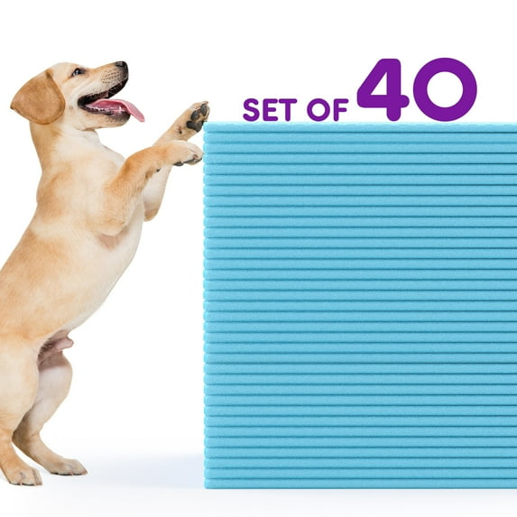 Gianna 40 Count Dog Pee Pads 28"x34", Disposable Training Puppy Pet Piddle Absorbent Leak-Proof