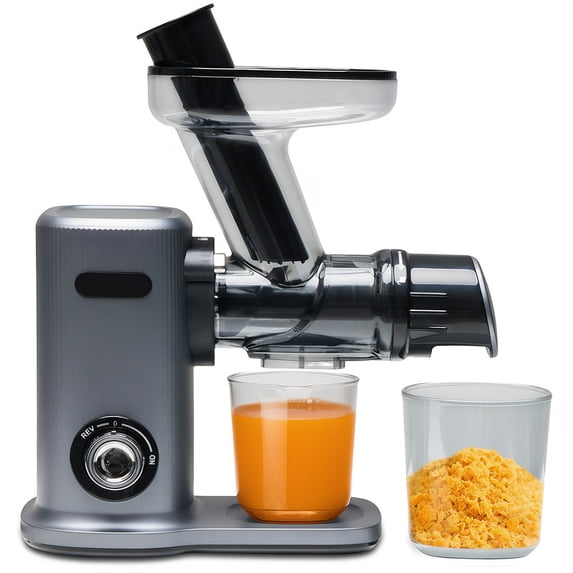 Gianna Cold Press Juicer, Slow Masticating Juicer Machines with Extra Wide Feed Chute, High Juice Yield and Easy to Clean for Whole Vegetables & Fruits