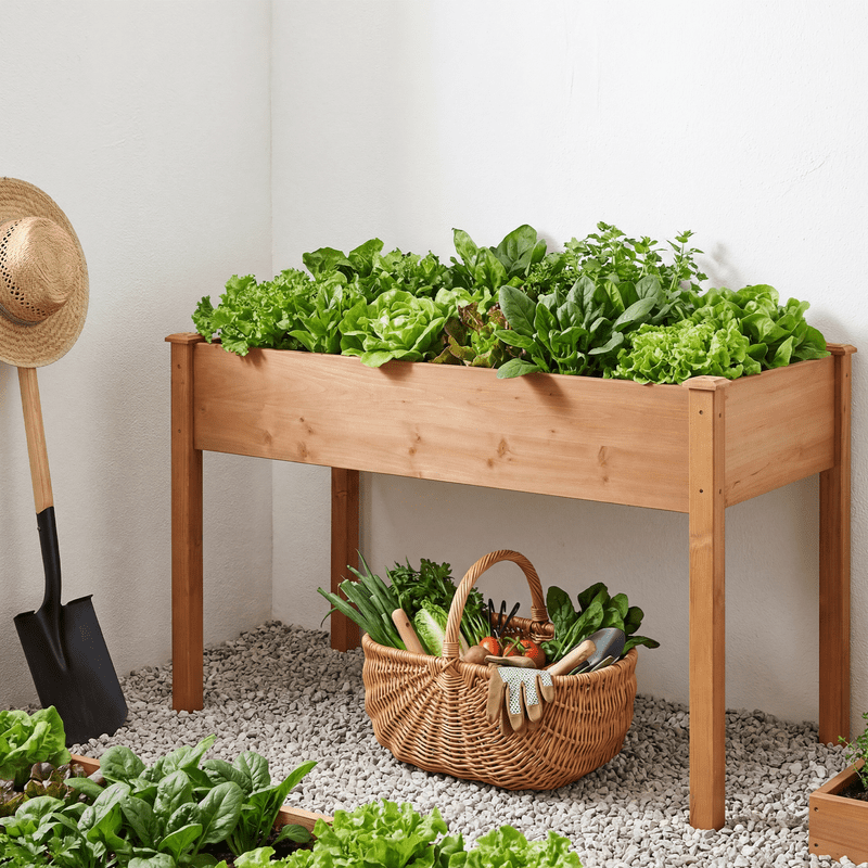 Gianna Raised Garden Bed - Cedar Planter with Non-Woven Liner, Bottom Drainage, 30-Inch Height, 48 x 24 x 30 in Sizes for Outdoor Plants，Brown