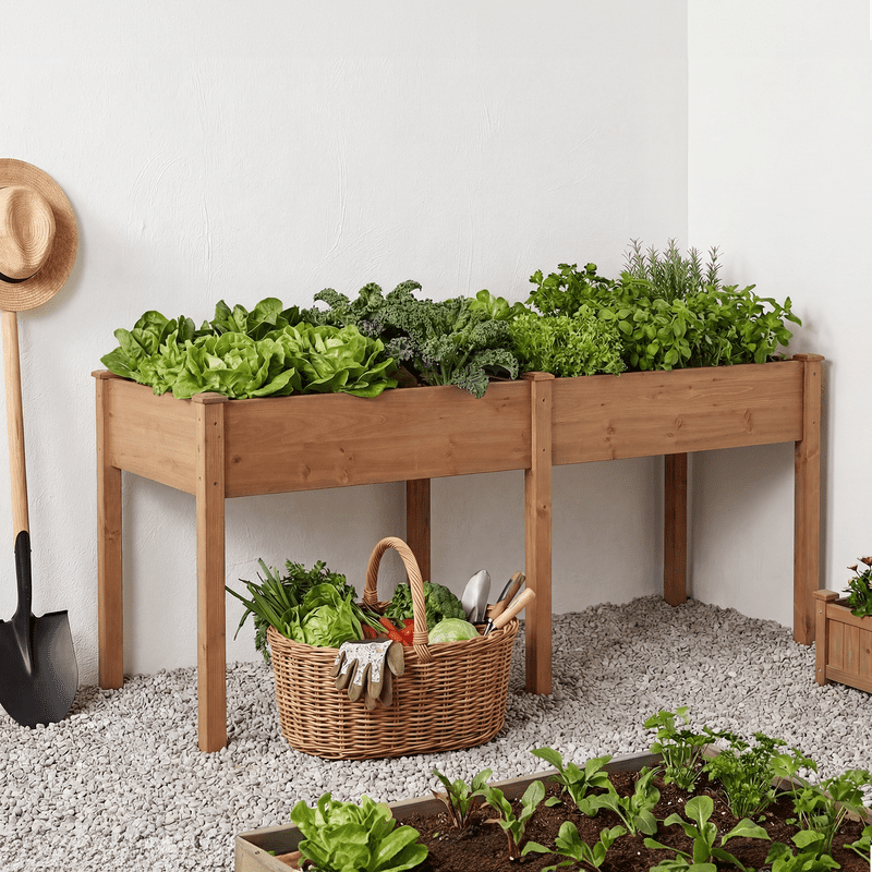 Gianna Raised Garden Bed - Cedar Planter with Non-Woven Liner, Bottom Drainage, 30-Inch Height, 72 x 23 x 30 in Sizes for Outdoor Plants，Brown