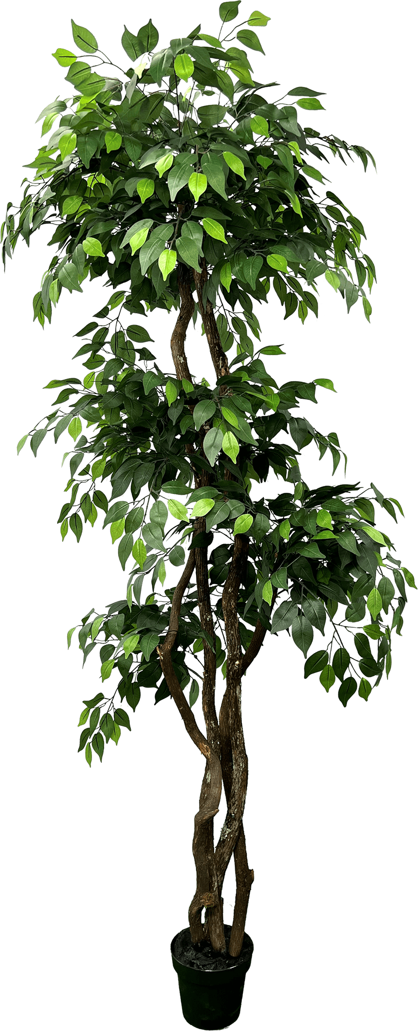Giant 6.5' Artificial Ficus Tree